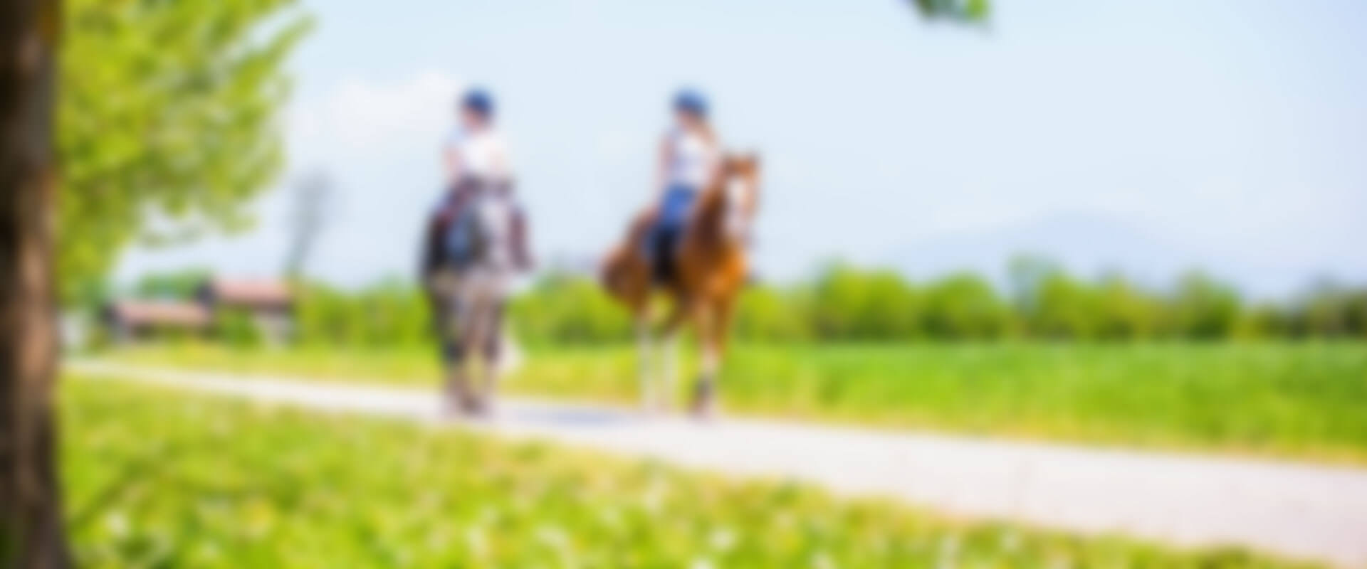 Capannelle Circolo Ippicolo