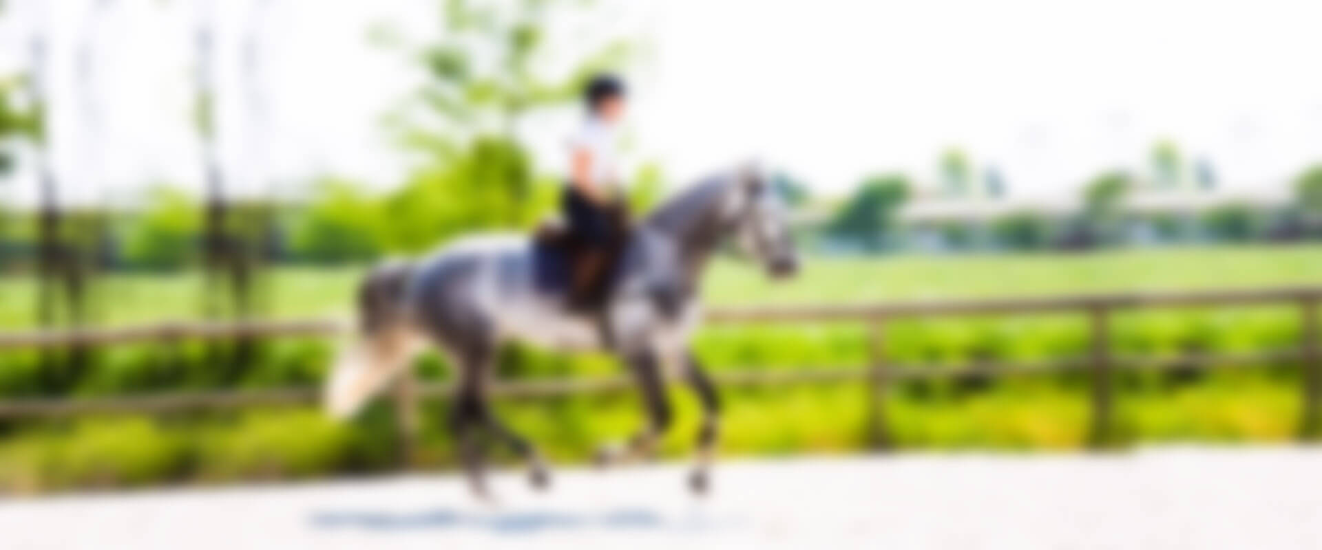 Il circolo ippico AC Zanica